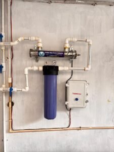 WhatsApp Image 2026-02-02 at 12.12.24 PM