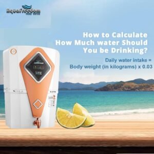 WhatsApp Image 2026-02-03 at 3.20.02 PM