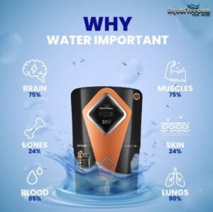 WhatsApp Image 2026-02-03 at 3.20.03 PM